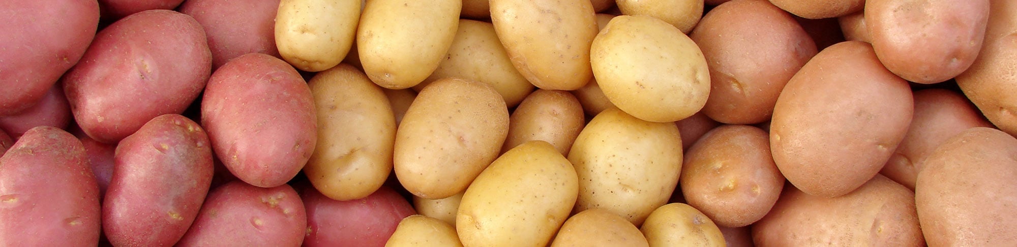 Potato Fresh Fund