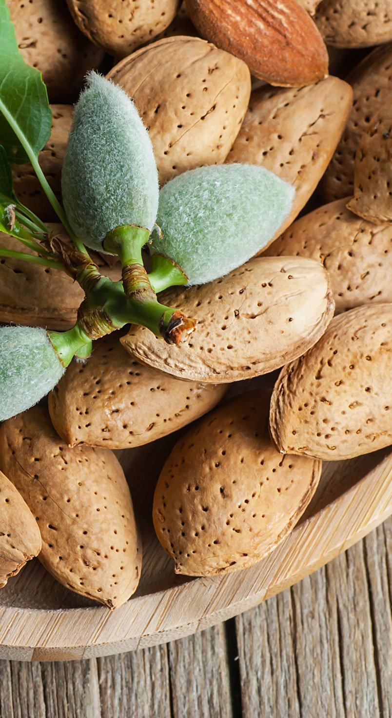 Almond