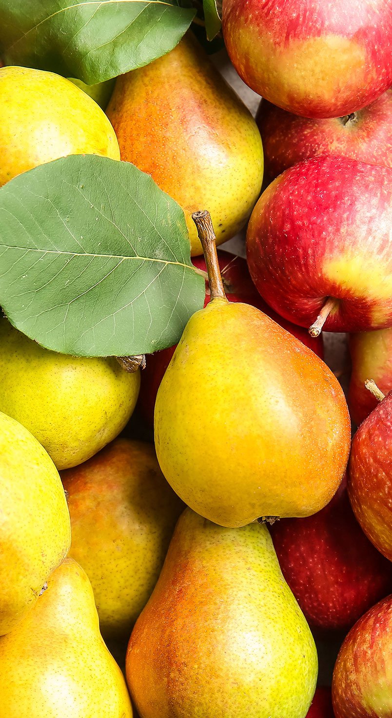apple-pear