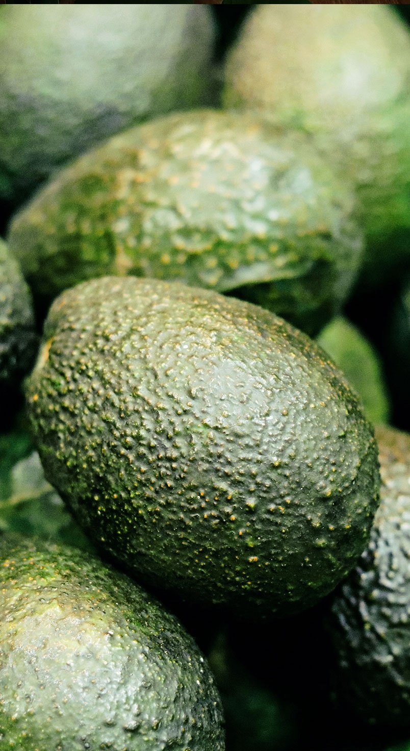 FP_Mobile-Avocado-R2