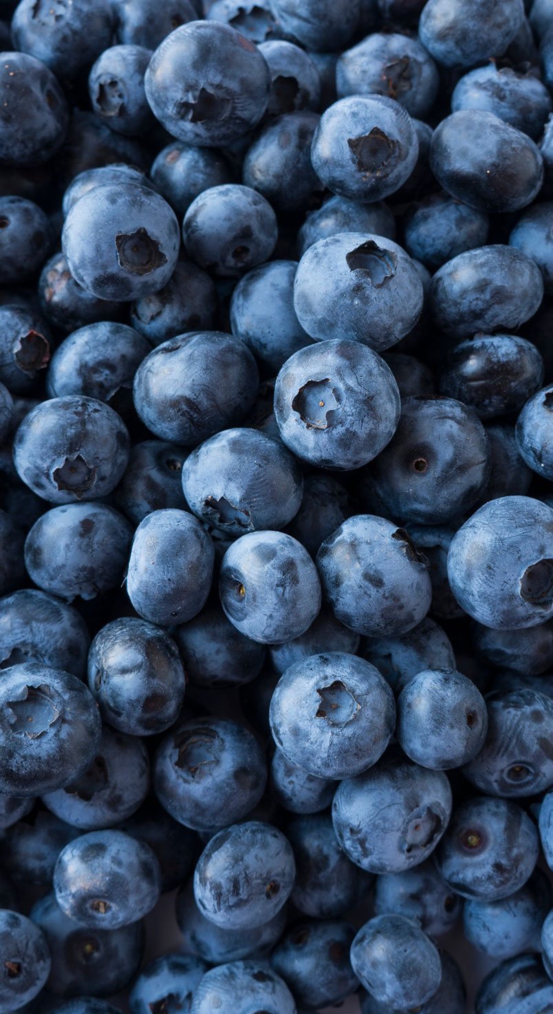 blueberry