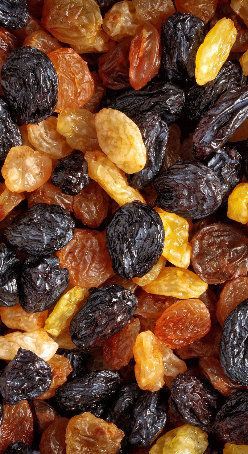 dried