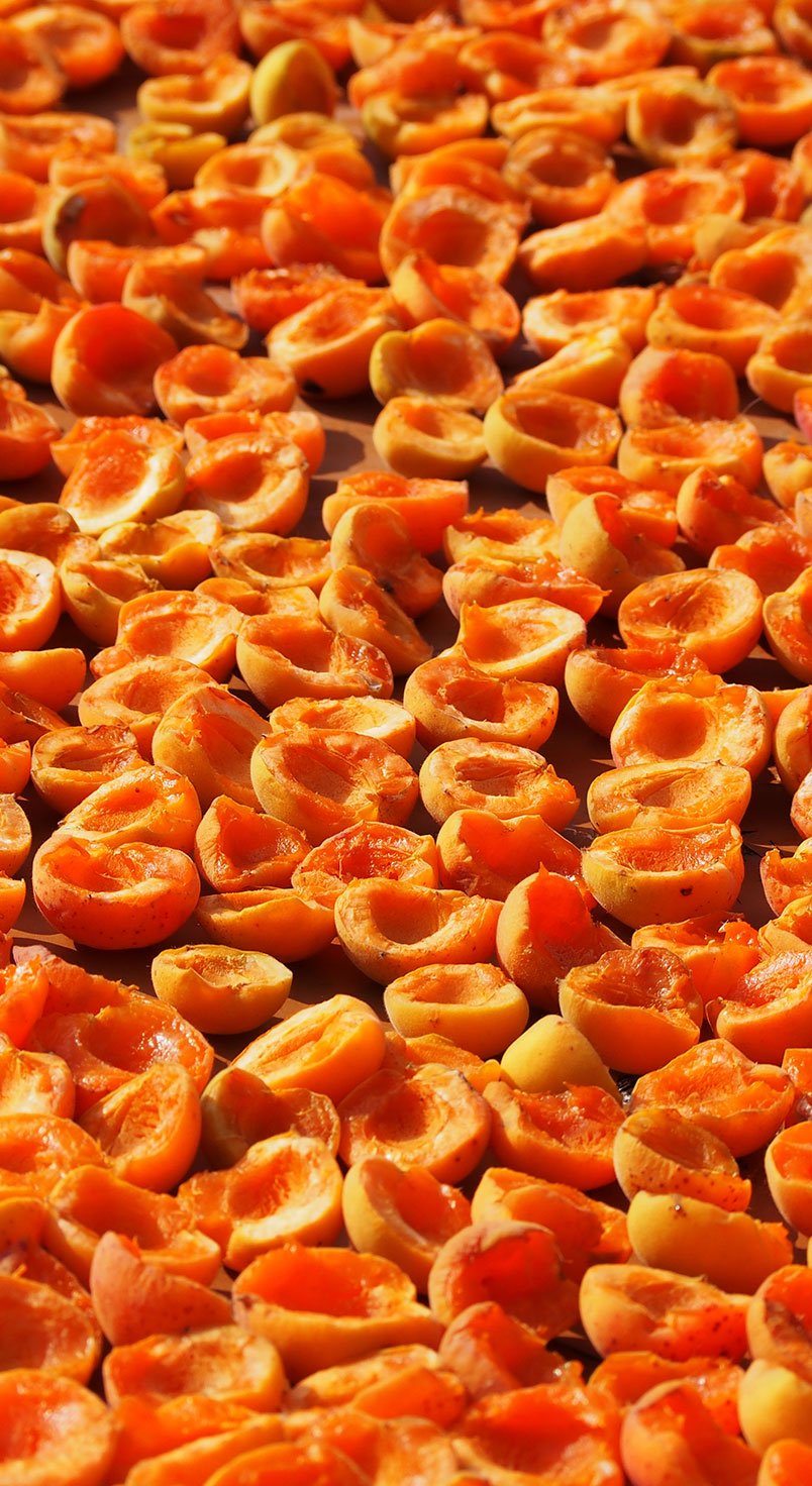 dried
