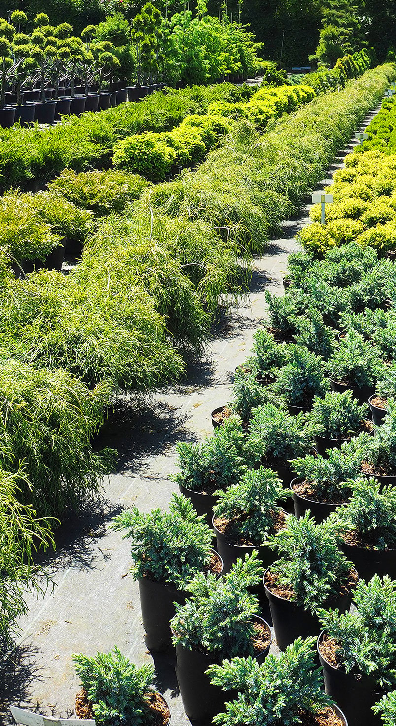 nursery