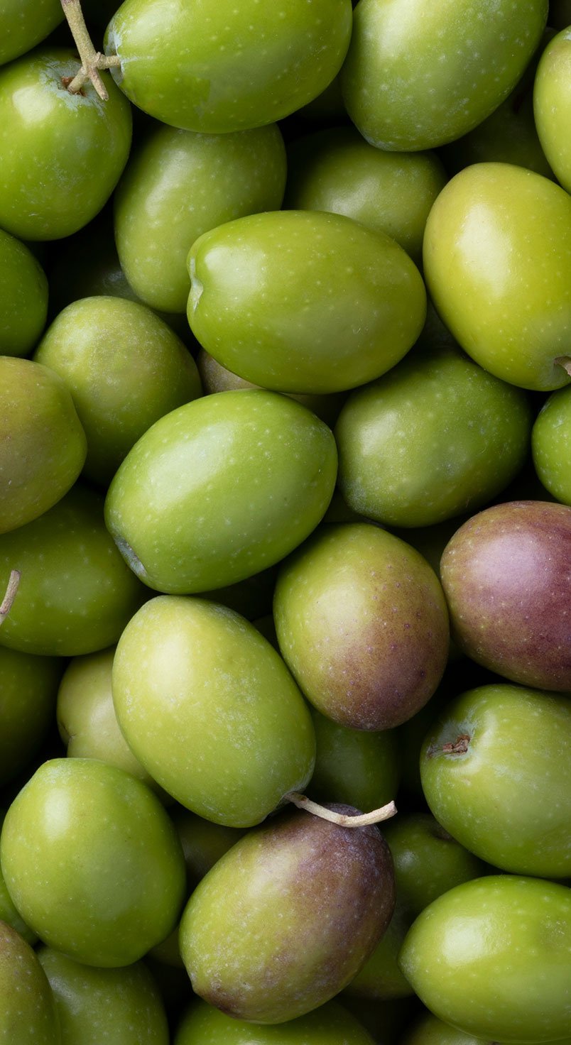 olive