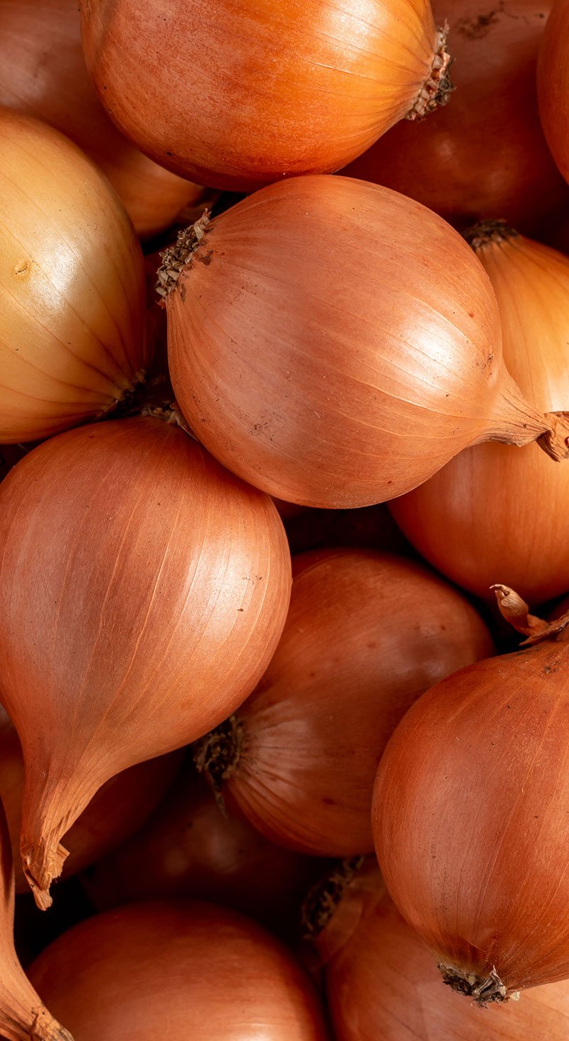 onion