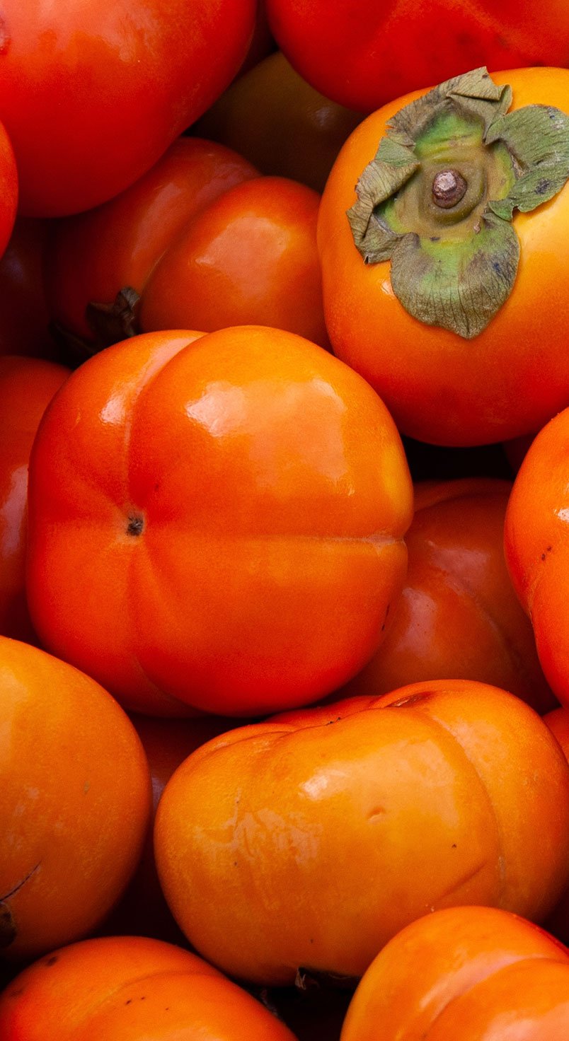 persimmon