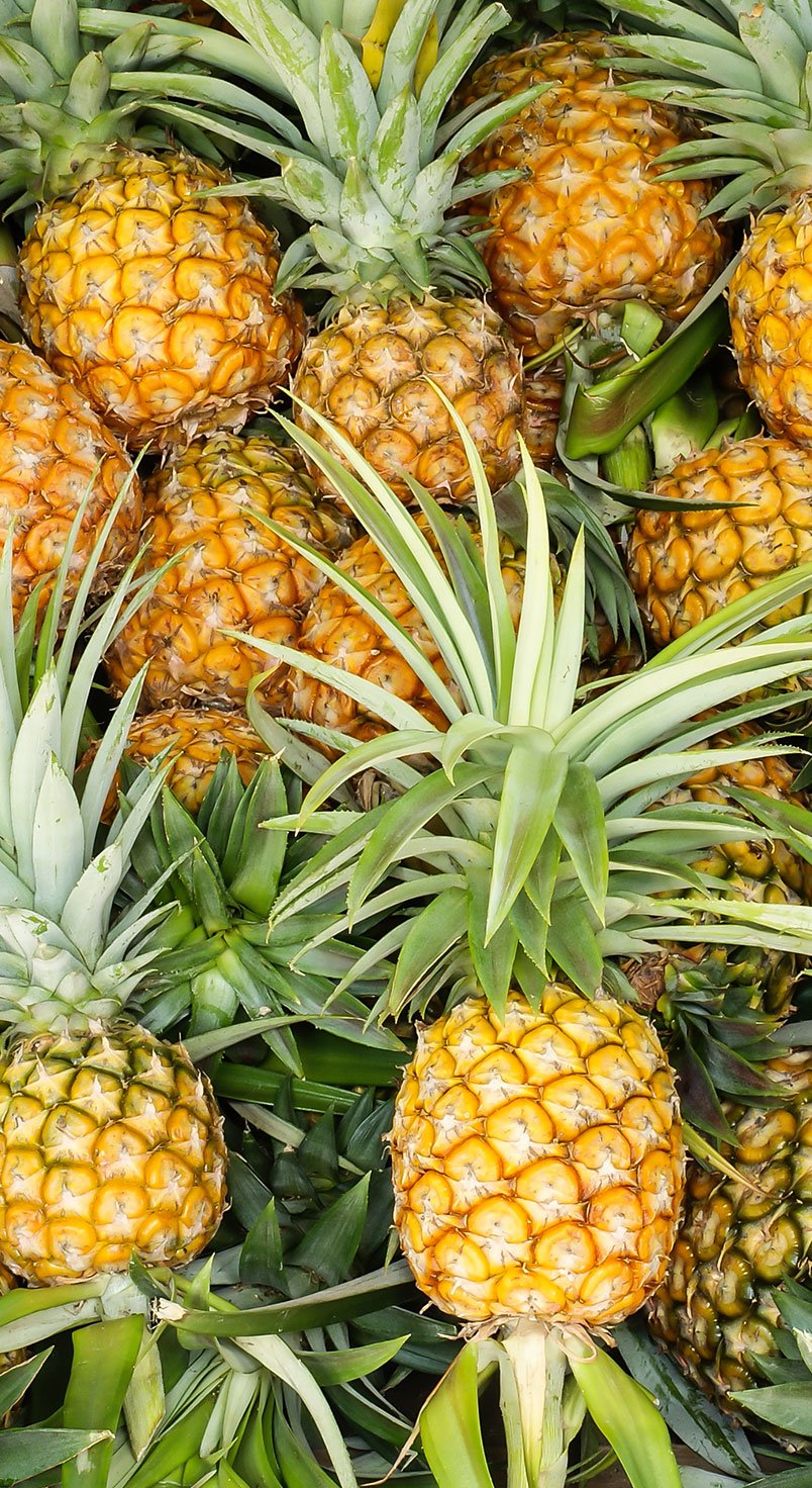 pineapple
