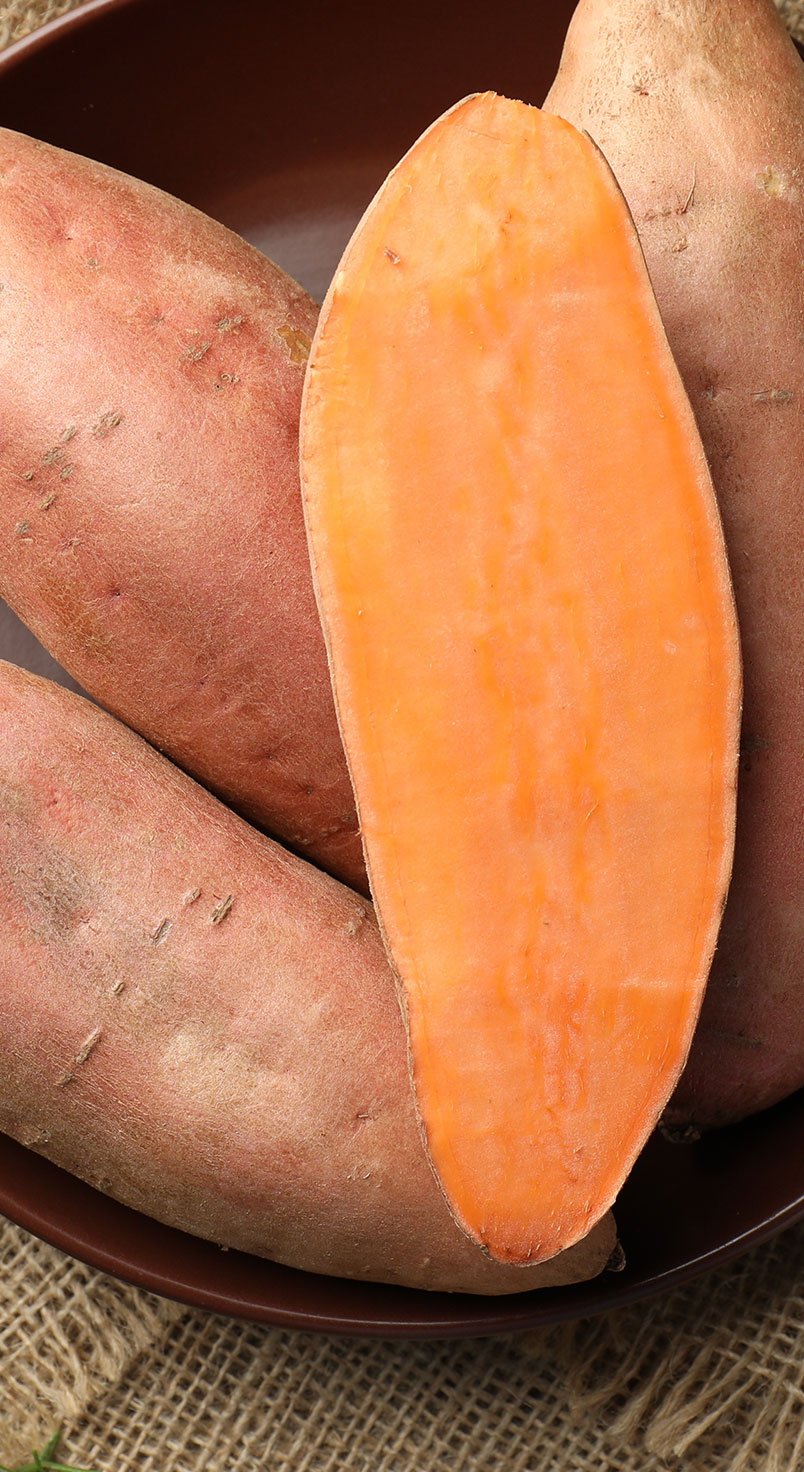 sweetpotato