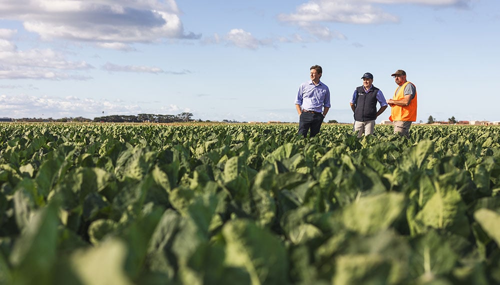 Resources for growers