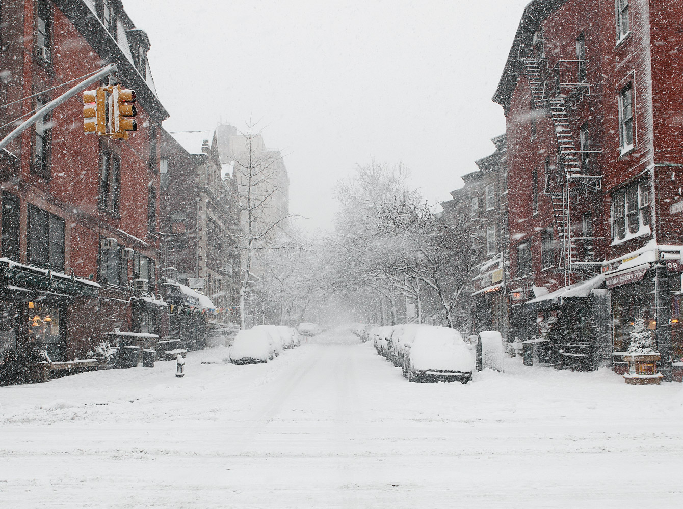 A city street is lined with snow covered cars while snow falls.