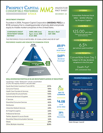 Prospect Preferred MM Factsheet