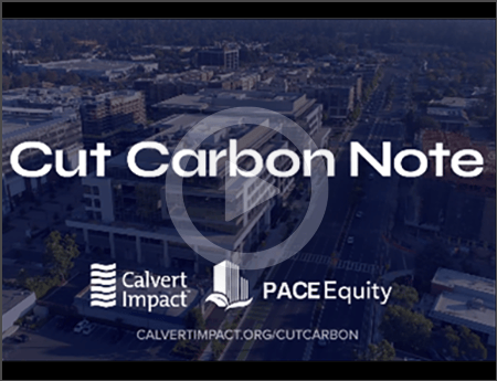 calvert-cut-carbon-note-video