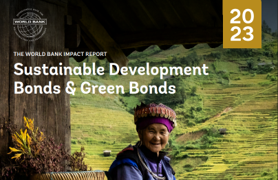 World_Bank_Impact_Report