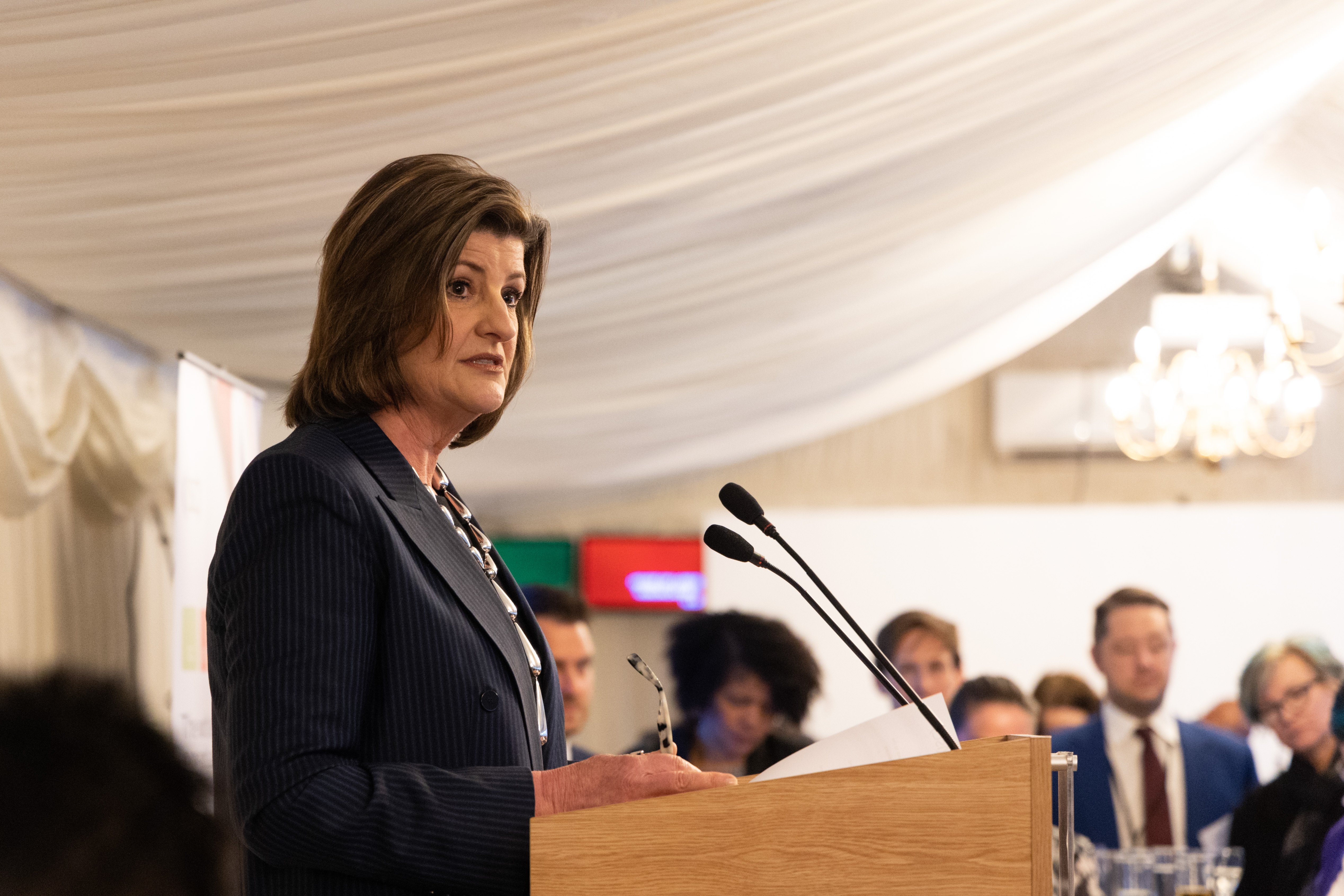 Clar Rosso at the launch of the ISC2 and RUSI research at the Houses of Parliament