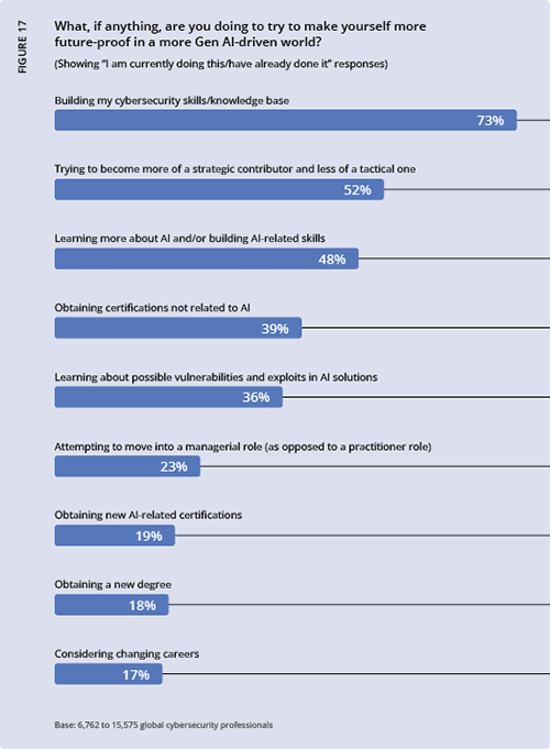 2024 ISC2 Global Workforce Study - Figure 17