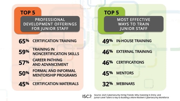 Top 5 professional development and ways to train