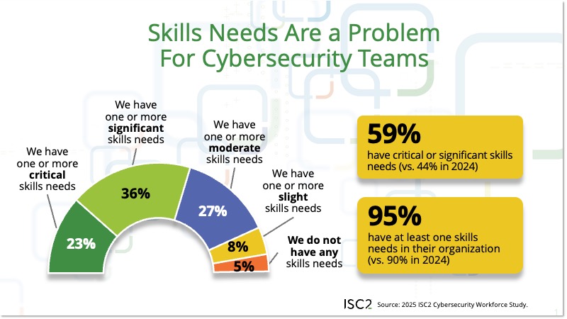 Skills Needs Are a Problem For Cybersecurity Teams