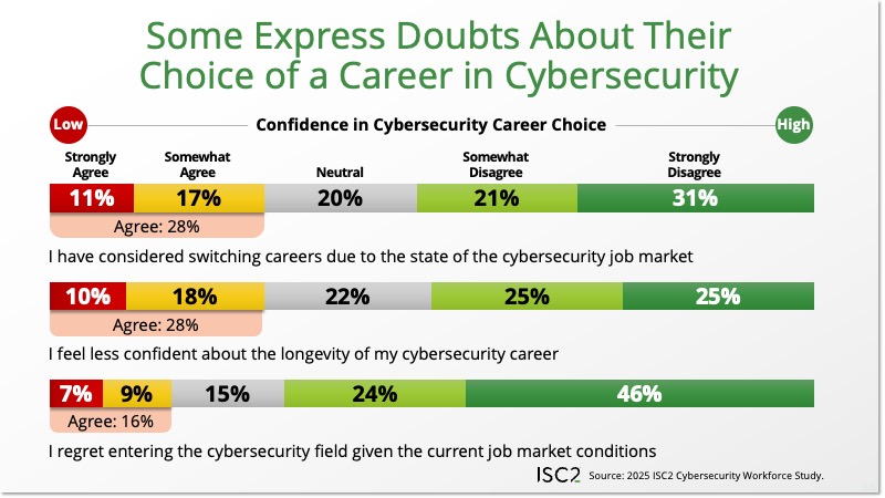 Some Express Doubts About Their Choice of a Career in Cybersecurity