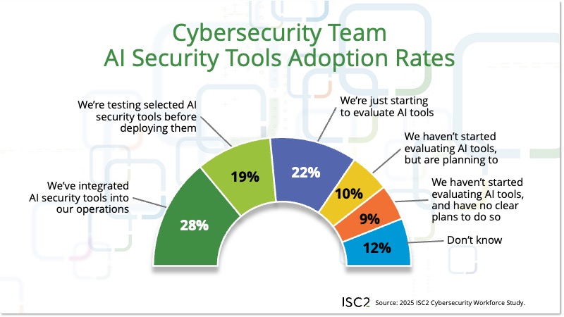 Cybersecurity Team AI Security Tools Adoption Rates