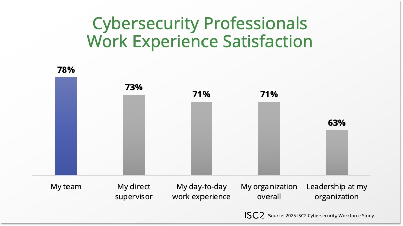 Cybersecurity Professionals Work Experience Satisfaction