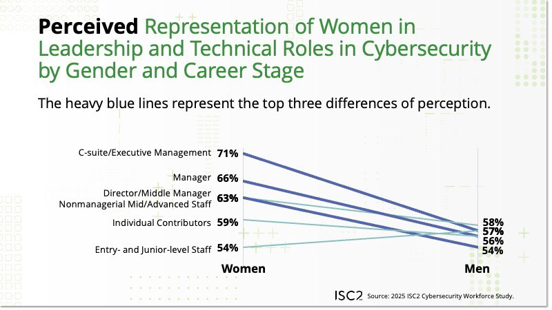 Perceived representation of women in cybersecurity roles (comparing female and male respondents)