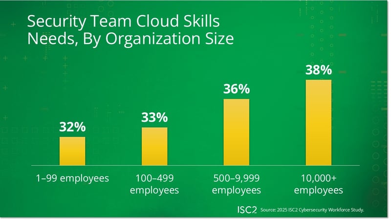 Security Team Cloud Skills Needs by Organization Size