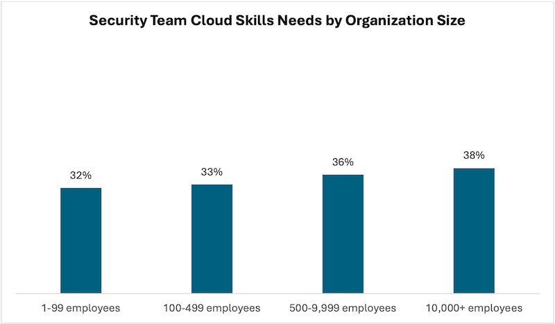 Security Team Cloud Skills Needs by Organization Size