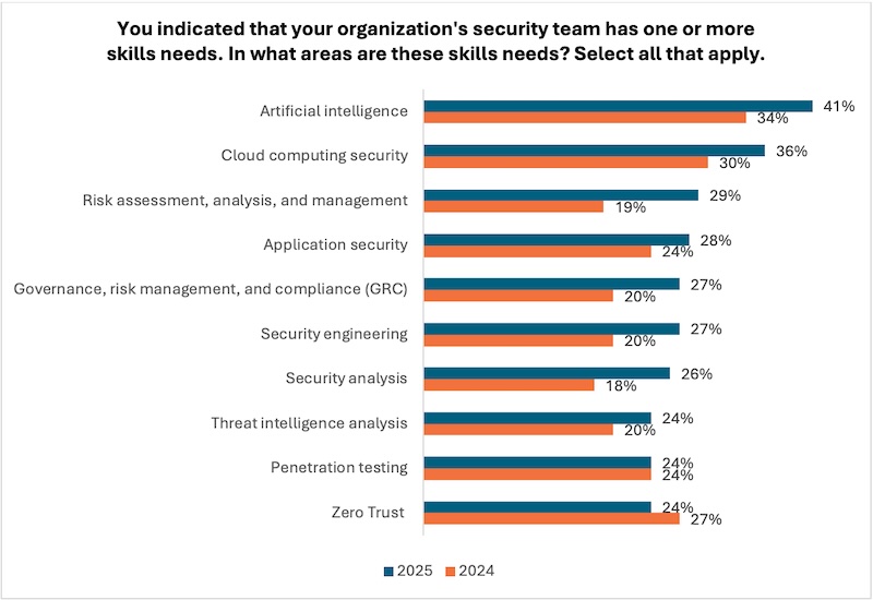 You indicated that your organization's security team has one or more skills needs. In what areas are these skills needs?