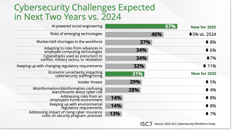 Cybersecurity Challenges expected in the Next Two Years vs 2024