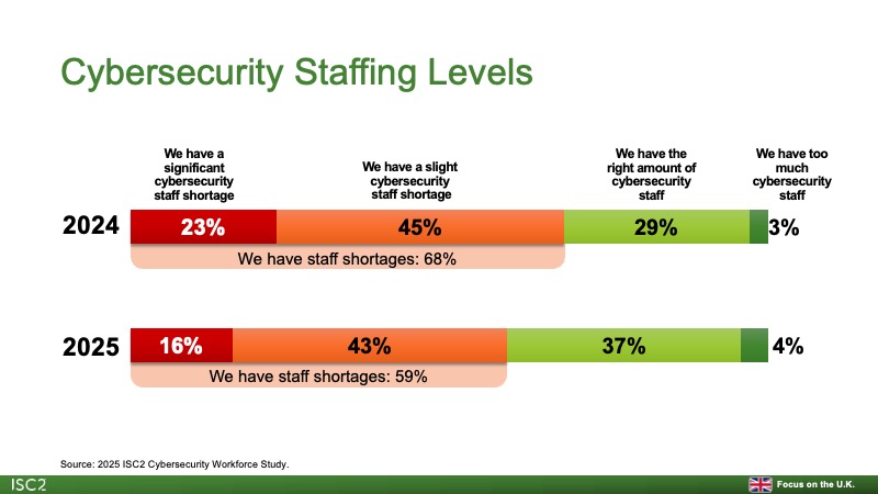 Cybersecurity Staffling Levels