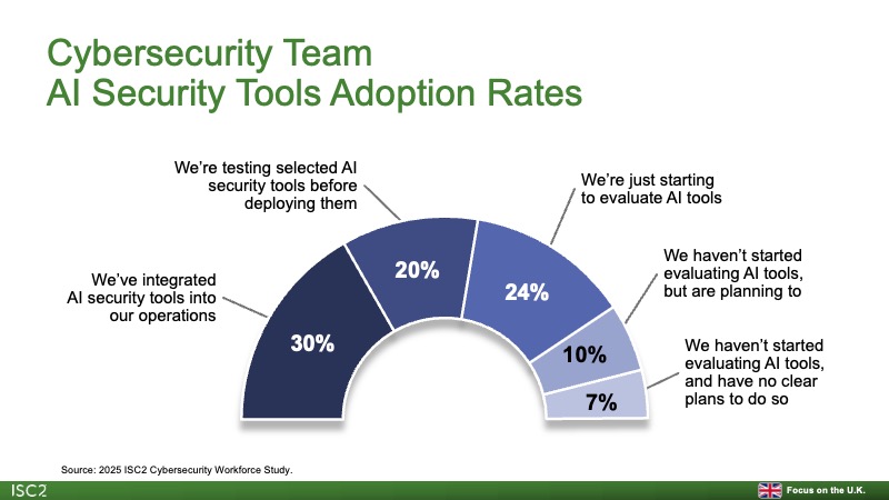 Cybersecurity Team AI Security Tools Adoption Rates