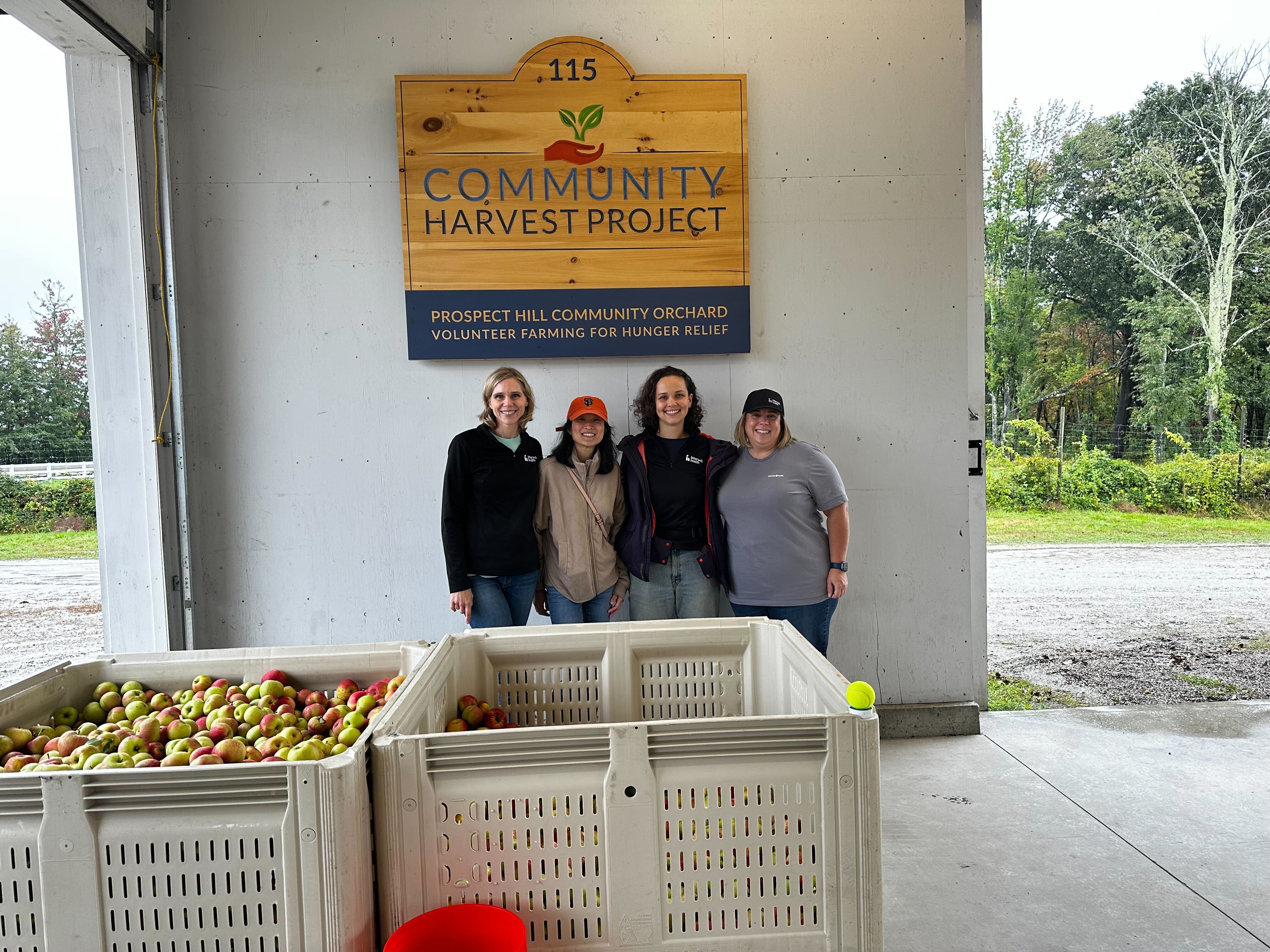 Community Harvest Project Volunteering