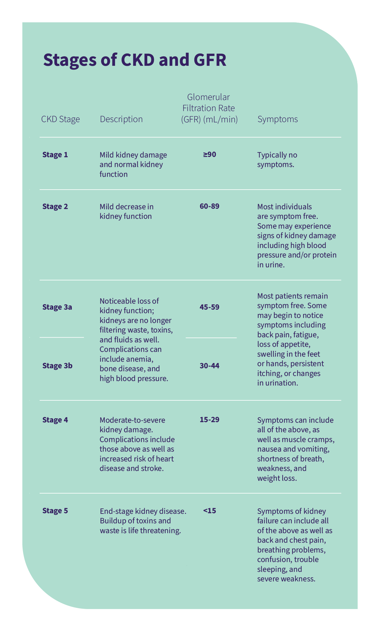 Chronic kidney disease (CKD) has five stages, starting with mild kidney damage and progressing to end-stage kidney disease (ESKD).