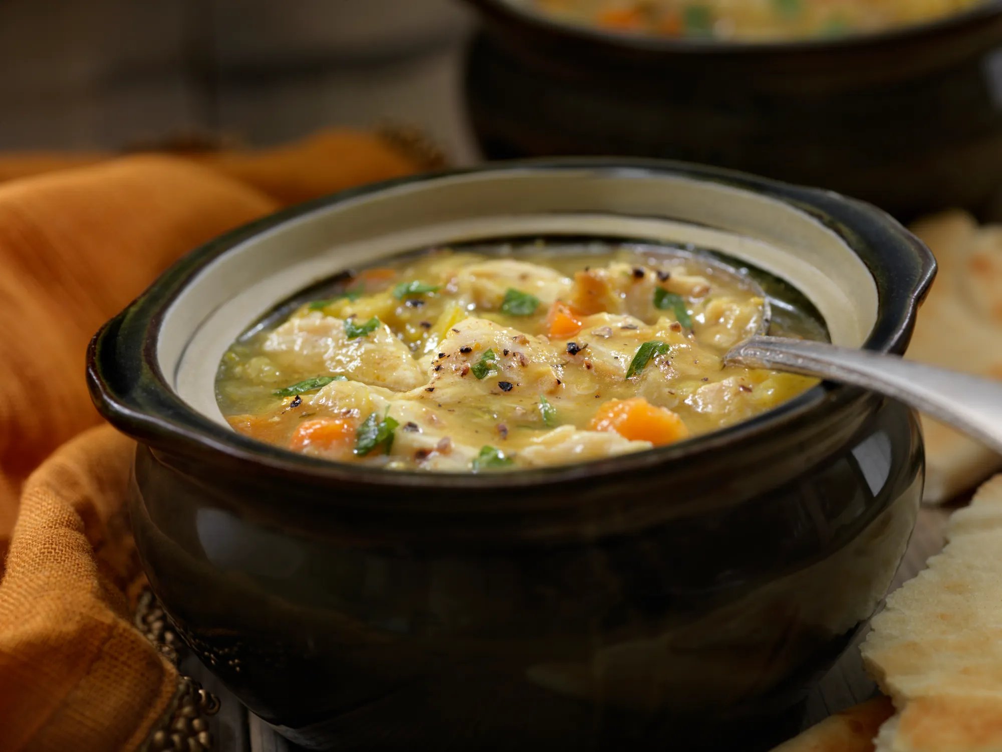 Mulligatawny Soup with Naan
