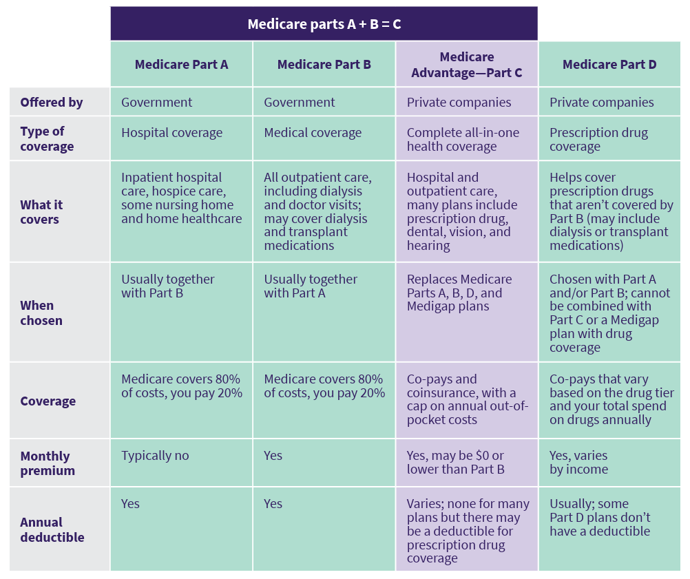 Insurance basics chart