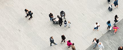 business-field_sp
