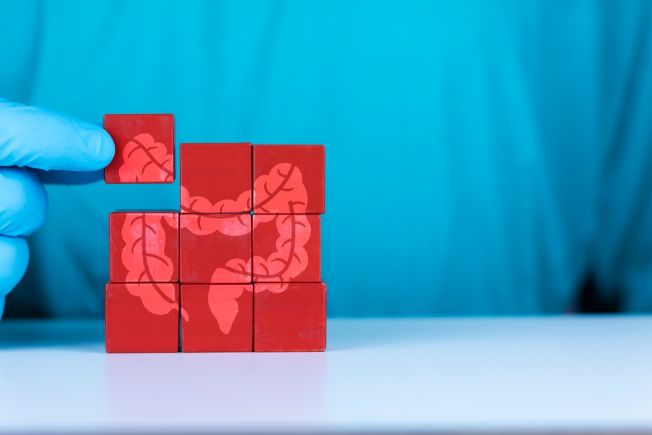 Doctor hands with a puzzle related to the colon