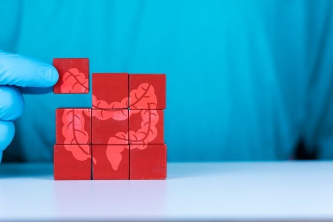 Doctor hands with a puzzle related to the colon