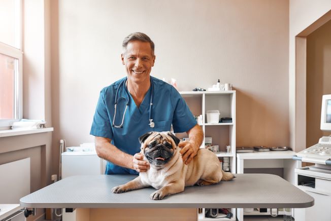 veterinarian with dog