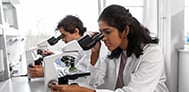 Healthcare doctors working in the lab