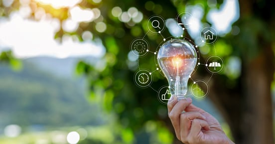 In the Media: Tackling Scope 3 Emissions – Light bulb