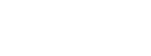 Wisetek Logo White