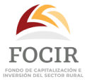 FOCIR