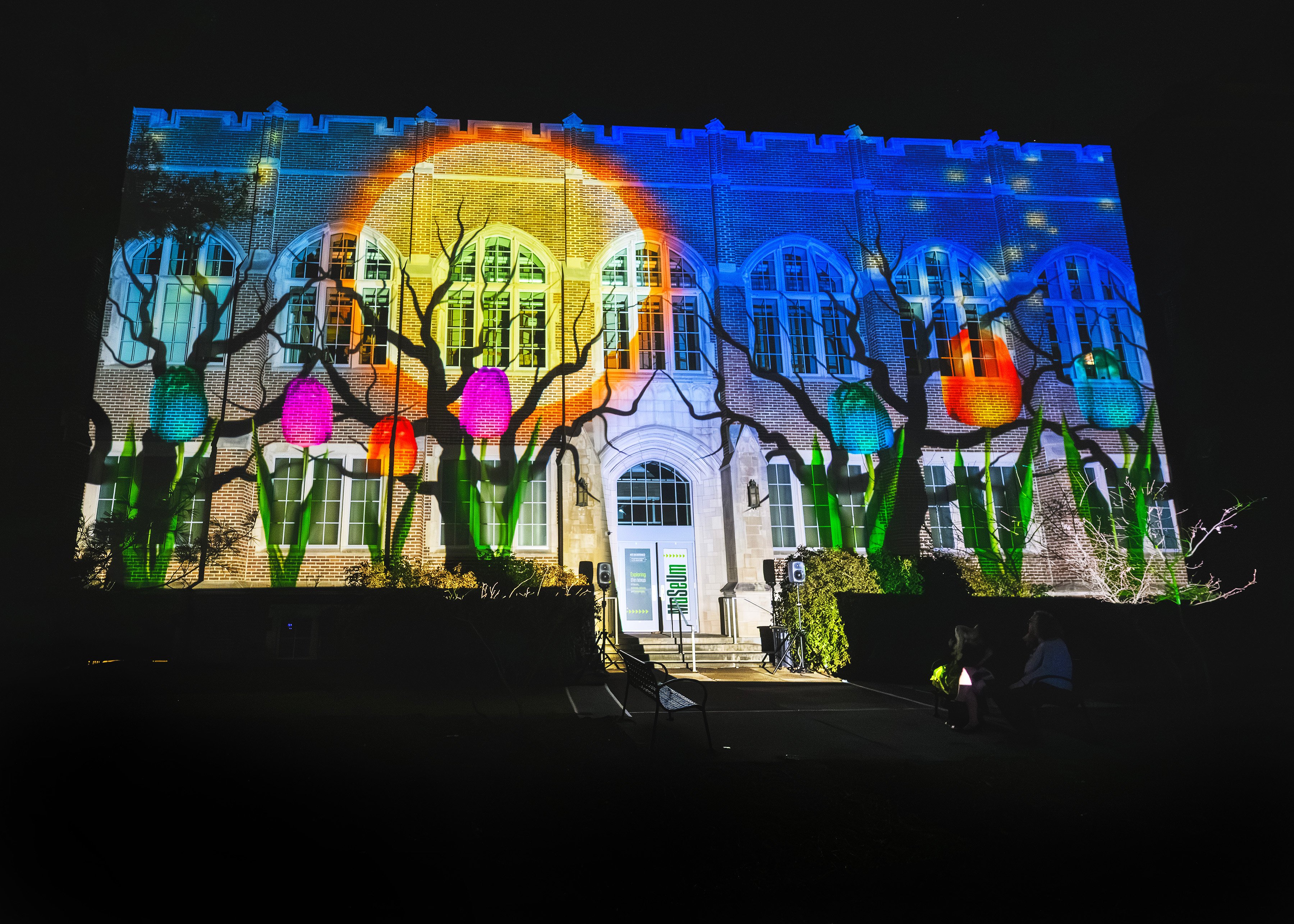 Building Projections. Photo Courtesy of the MSU Museum