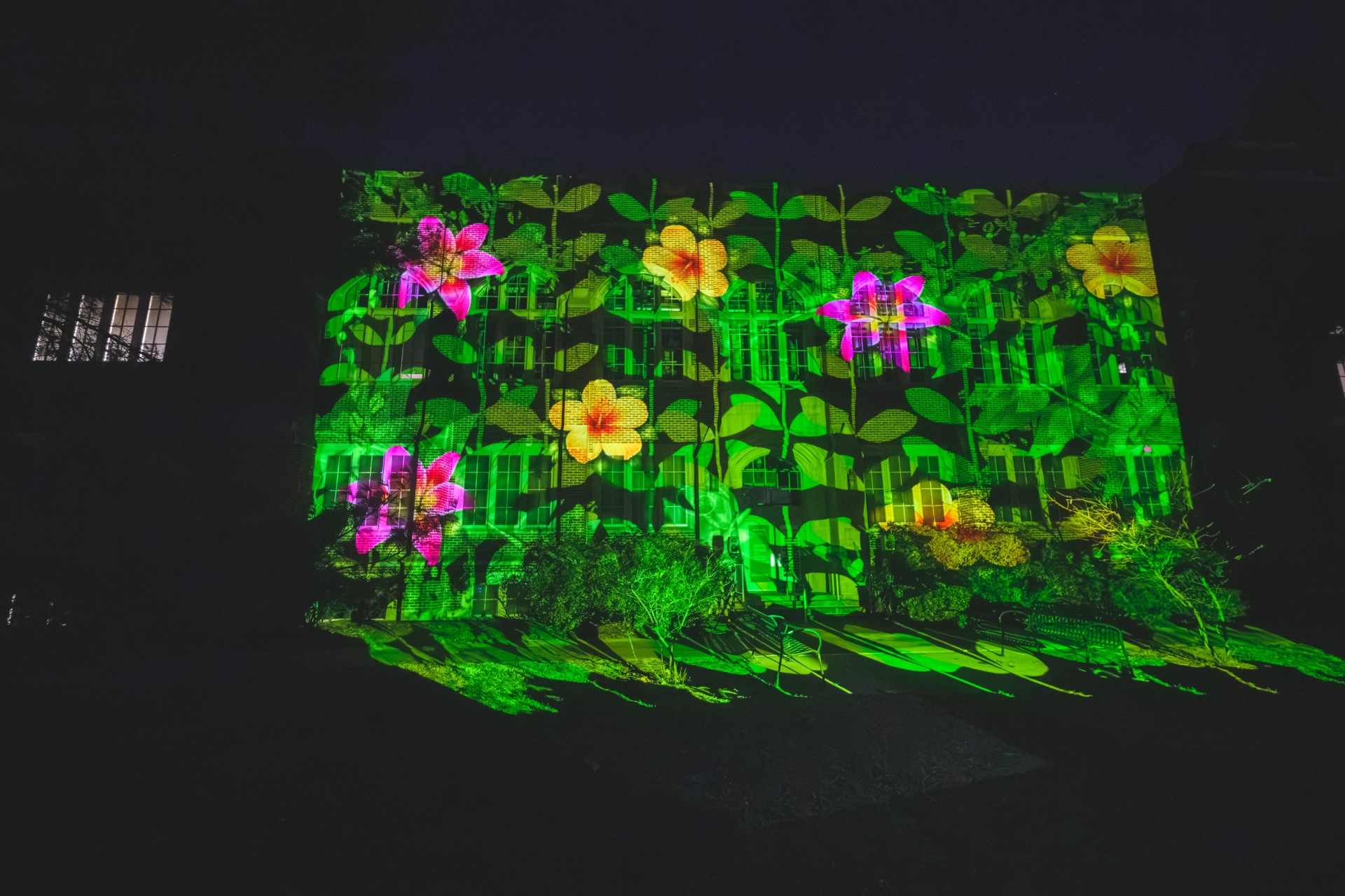 Large-scale projections illuminated the Museum’s façade, highlighting the energy and interdisciplinary spirit that define the Museum’s mission. Photo by Doug Coombe