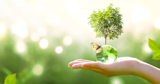 In the Media: Suppliers Must Operate Sustainably