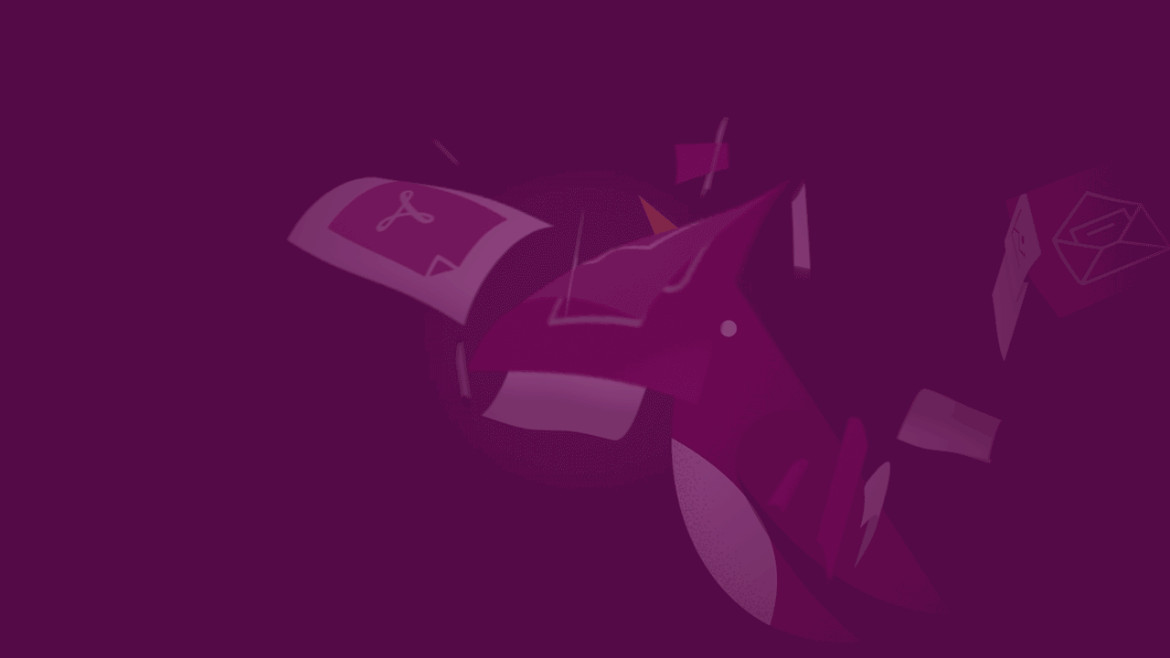 Bird pointing at computer