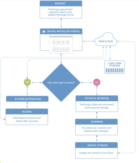 Digital pathology on demand services infographic