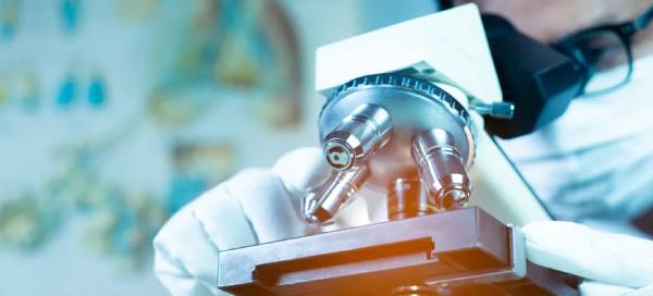 How digital technology brings innovation to traditional pathological diagnosis